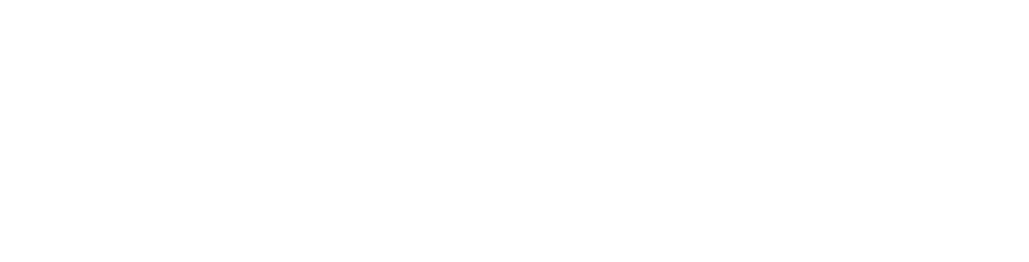 SV_white_text_logo_v1
