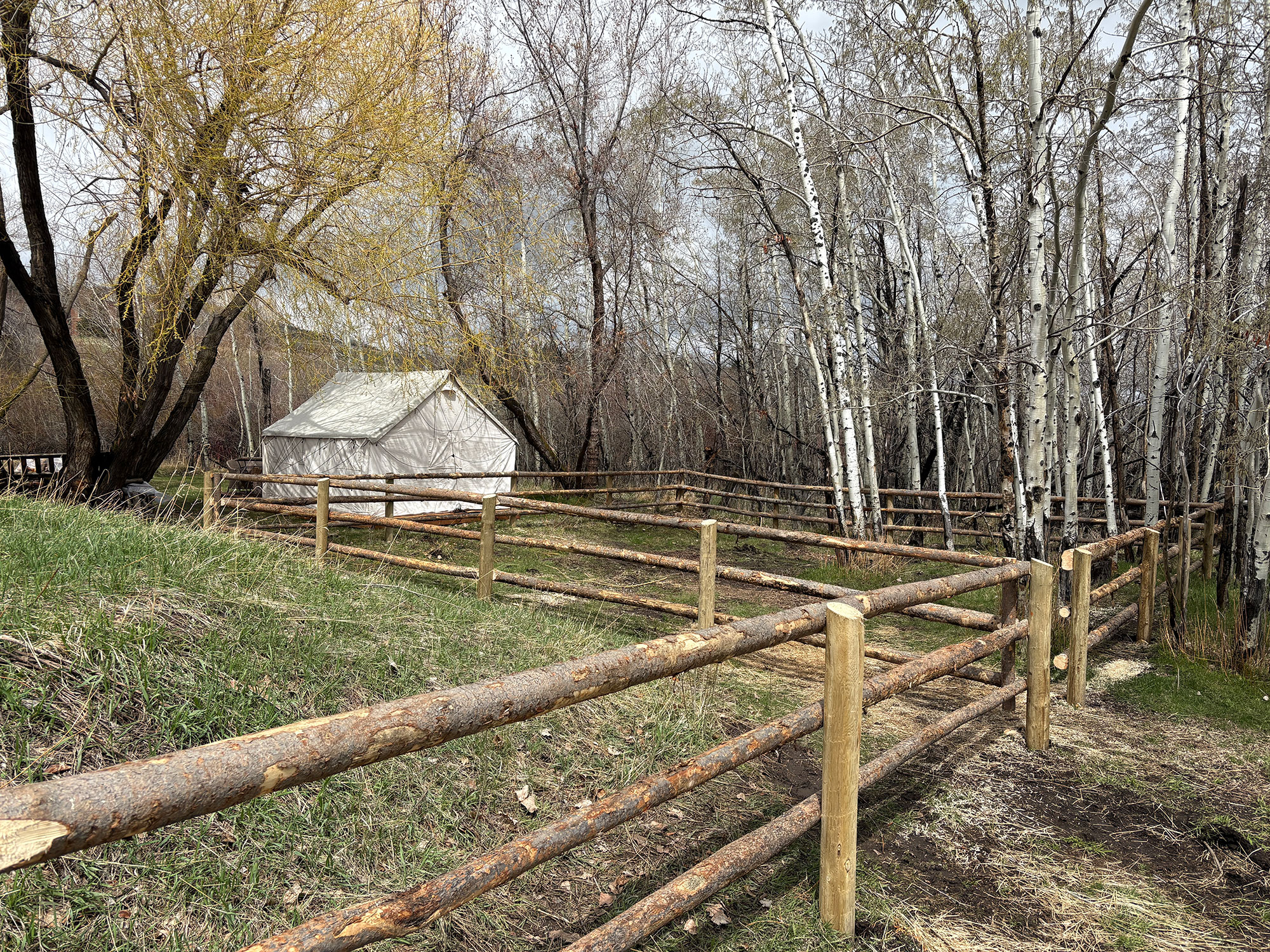 tent_pen_fence
